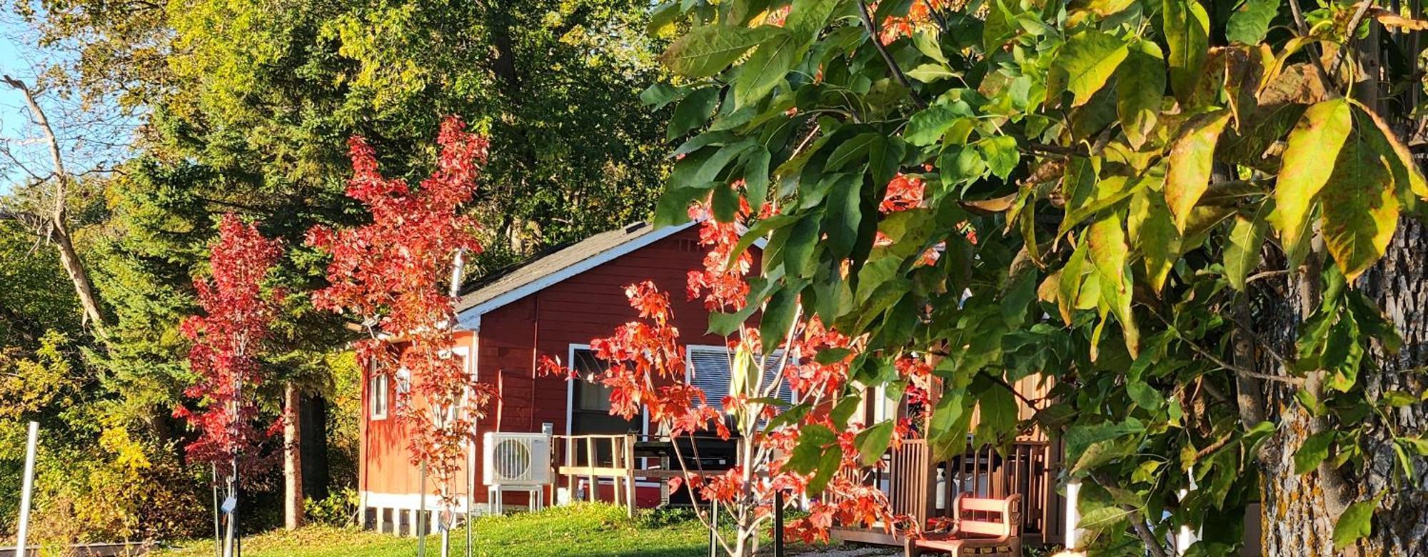 Trent River Cottages Hastings Bagian luar foto